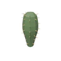 Cactus 1
